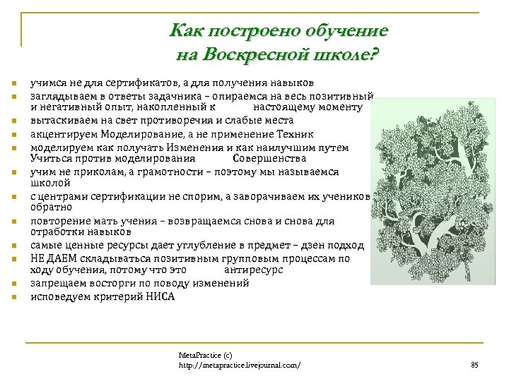 Как построено обучение на Воскресной школе? n n n учимся не для сертификатов, а