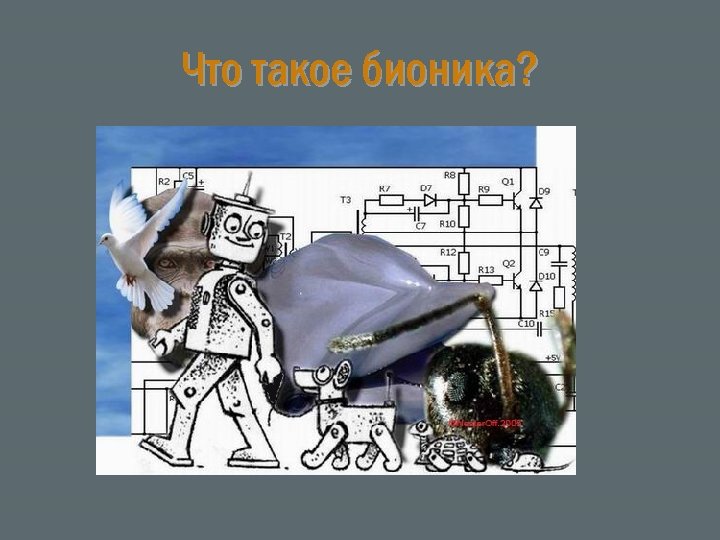 Что такое бионика? 