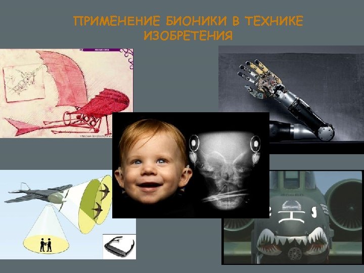 ПРИМЕНЕНИЕ БИОНИКИ В ТЕХНИКЕ ИЗОБРЕТЕНИЯ 