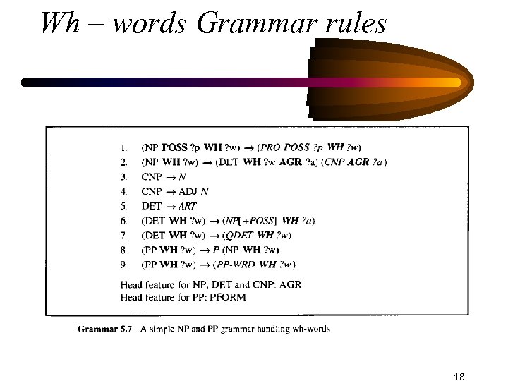 Wh – words Grammar rules 18 