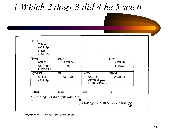 1 Which 2 dogs 3 did 4 he 5 see 6 23 