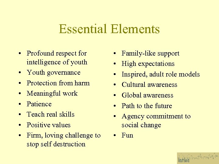 Essential Elements • Profound respect for intelligence of youth • Youth governance • Protection