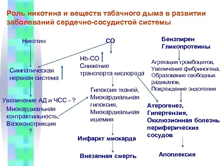 Роль никотина и веществ табачного дыма в развитии заболеваний сердечно-сосудистой системы Никотин Симпатическая нервная