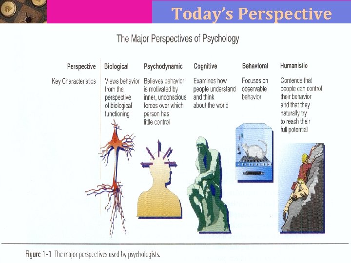 Today’s Perspective 