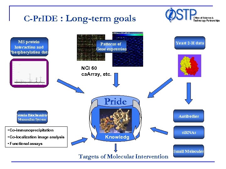 C-Pr. IDE : Long-term goals MS protein Interaction and Phosphorylation data Patterns of Gene