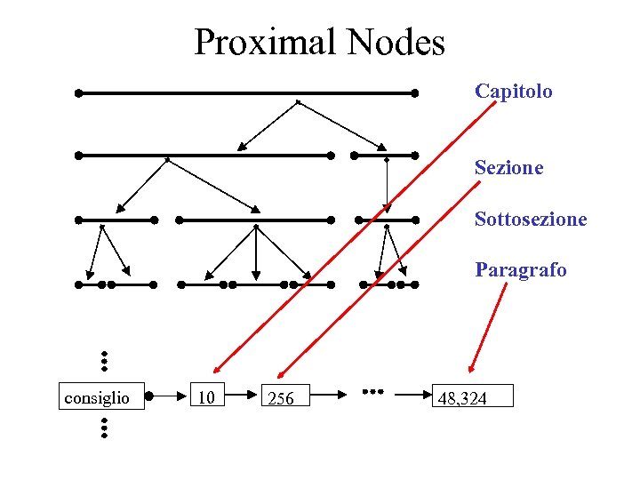 Proximal Nodes Capitolo Sezione Sottosezione Paragrafo consiglio 10 256 48, 324 