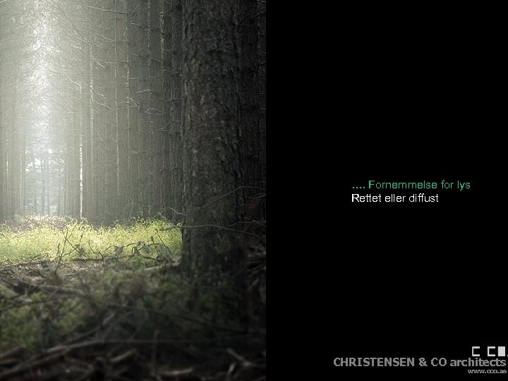 …. Fornemmelse for lys Rettet eller diffust Dagslys i energioptimerede bygninger CHRISTENSEN & CO