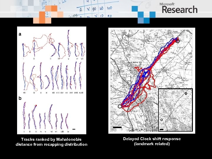 Tracks ranked by Mahalonobis distance from recapping distribution Delayed Clock shift response (landmark related)