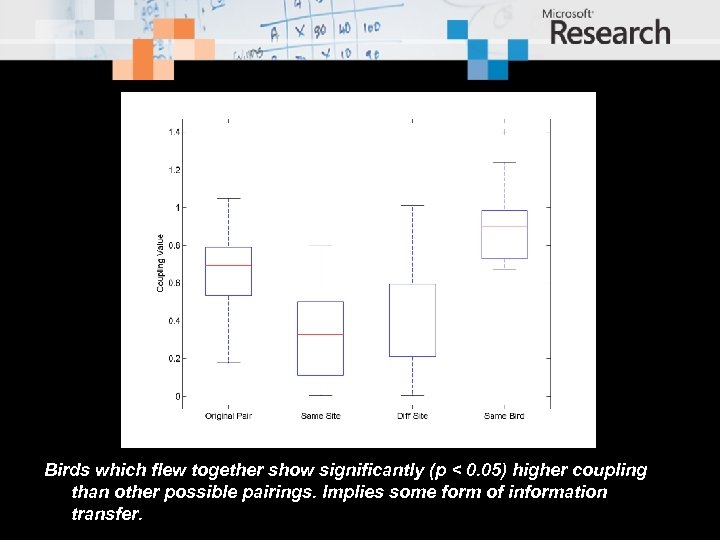 Birds which flew together show significantly (p < 0. 05) higher coupling than other