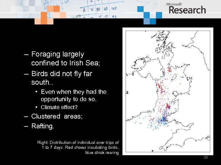 – Foraging largely confined to Irish Sea; – Birds did not fly far south.