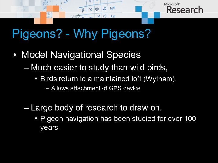 Pigeons? - Why Pigeons? • Model Navigational Species – Much easier to study than