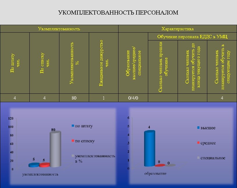 По списку чел. Укомплектованность % Ежедневное дежурство чел. Образование высшее/среднее/ специальное 4 4 80