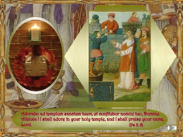 Adorabo ad templum sanctum tuum, et confitebor nomini tuo, Domine. Alleluia ! I shall