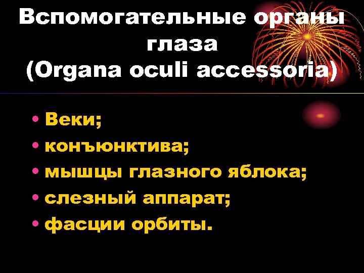 Вспомогательные органы глаза (Organa oculi accessoria) • Веки; • конъюнктива; • мышцы глазного яблока;