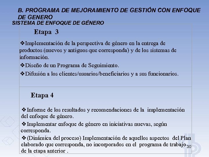 B. PROGRAMA DE MEJORAMIENTO DE GESTIÓN CON ENFOQUE DE GENERO SISTEMA DE ENFOQUE DE