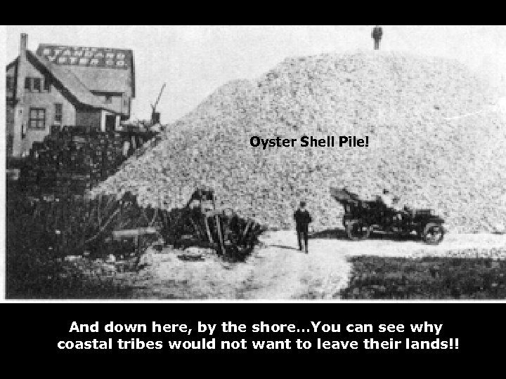 Oyster Shell Pile! And down here, by the shore…You can see why coastal tribes
