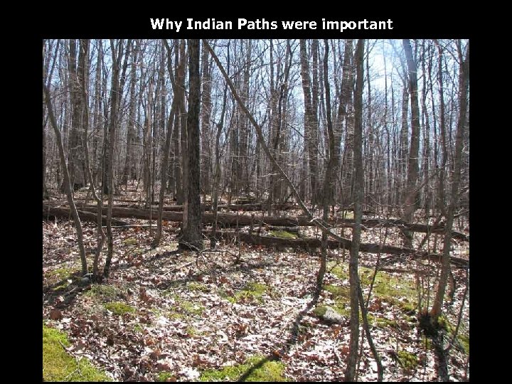 Why Indian Paths were important 