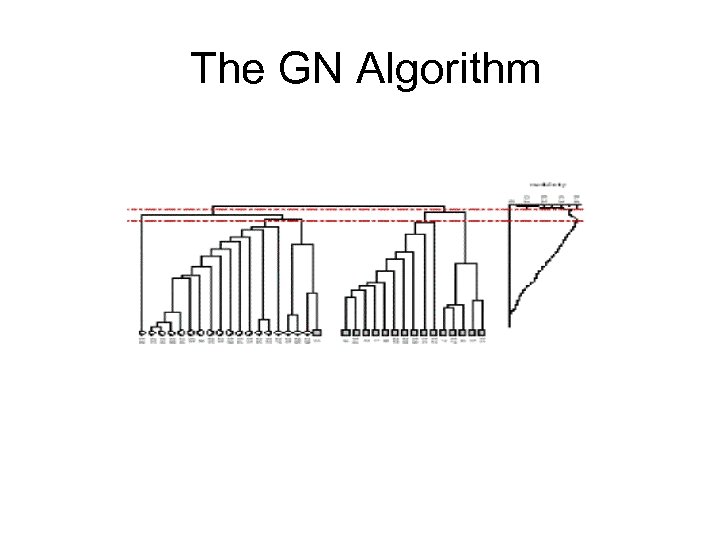 The GN Algorithm 