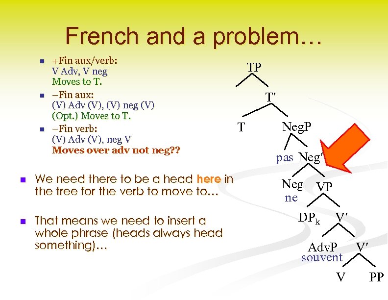French and a problem… n n n +Fin aux/verb: V Adv, V neg Moves