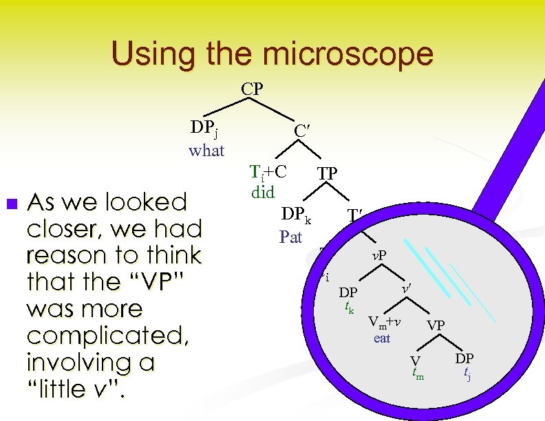 Using the microscope CP DPj what n As we looked closer, we had reason