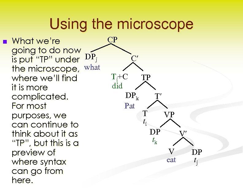 Using the microscope n CP What we’re going to do now C is put