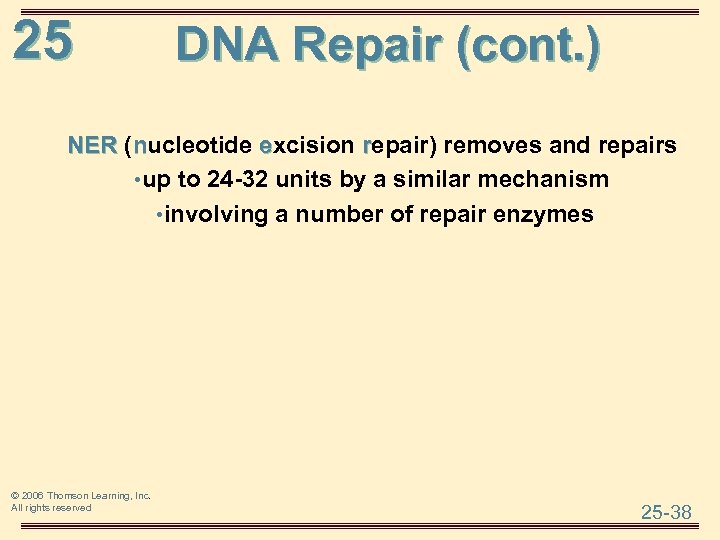 25 DNA Repair (cont. ) NER (nucleotide excision repair) removes and repairs • up