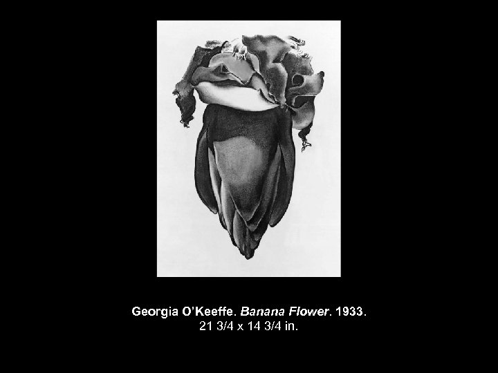 Georgia O’Keeffe. Banana Flower. 1933. 21 3/4 x 14 3/4 in. 