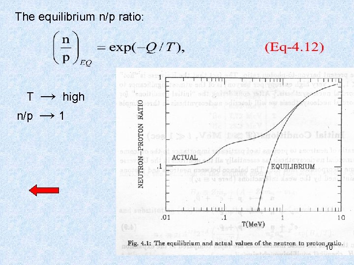 The equilibrium n/p ratio: T n/p → high → 1 10 