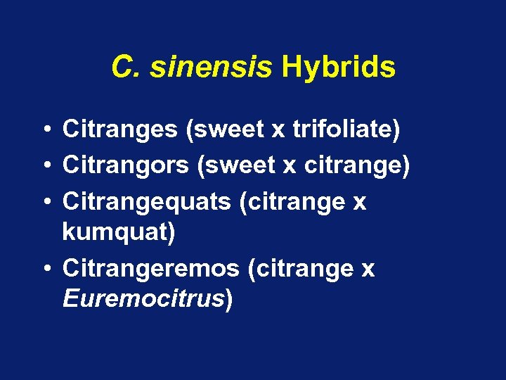 C. sinensis Hybrids • Citranges (sweet x trifoliate) • Citrangors (sweet x citrange) •
