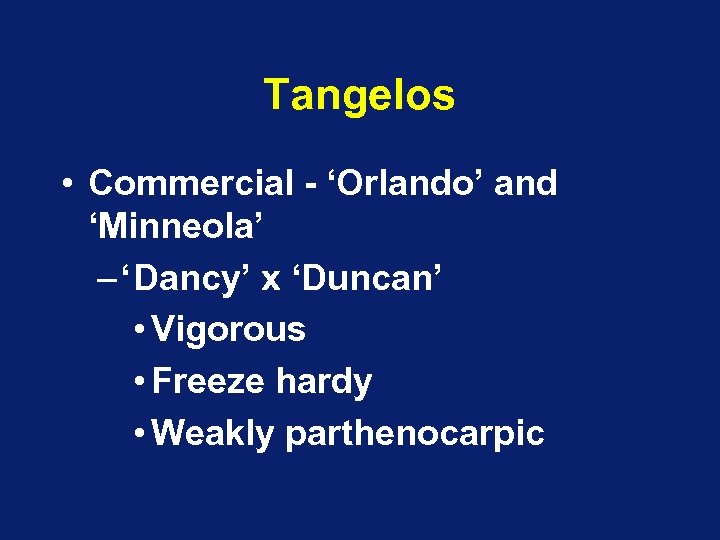 Tangelos • Commercial - ‘Orlando’ and ‘Minneola’ – ‘Dancy’ x ‘Duncan’ • Vigorous •