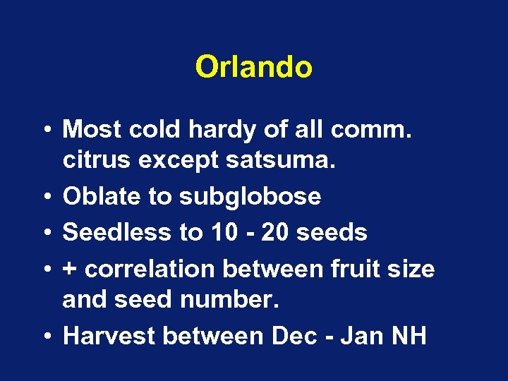 Orlando • Most cold hardy of all comm. citrus except satsuma. • Oblate to