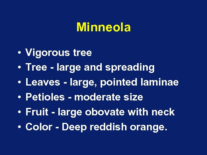 Minneola • • • Vigorous tree Tree - large and spreading Leaves - large,