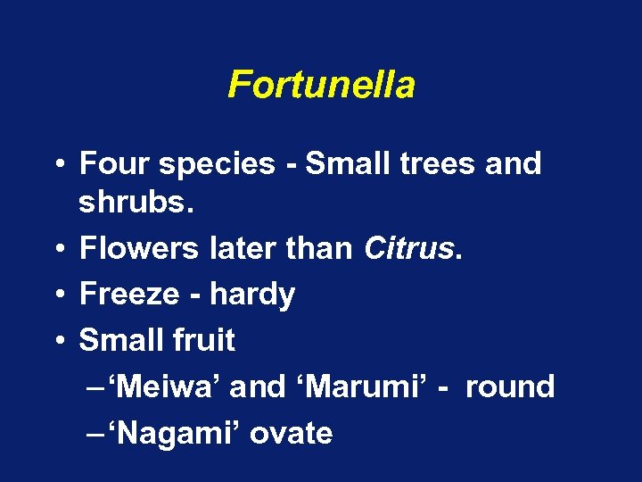 Fortunella • Four species - Small trees and shrubs. • Flowers later than Citrus.