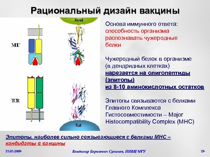 Рациональный дизайн белков