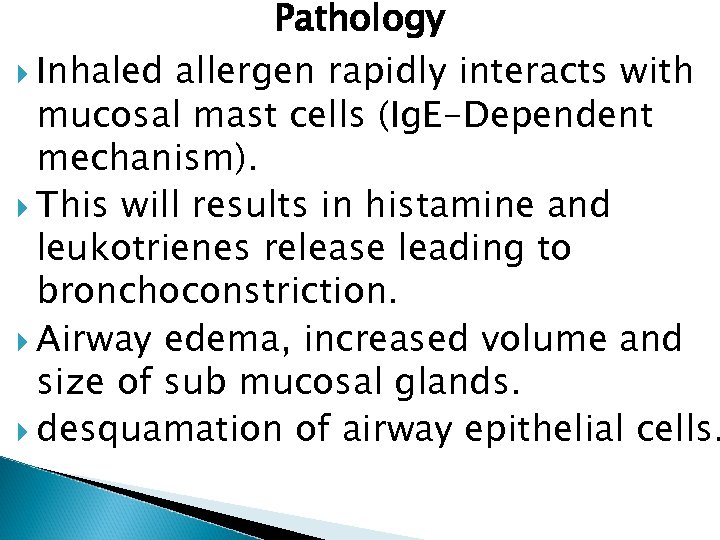 Pathology Inhaled allergen rapidly interacts with mucosal mast cells (Ig. E-Dependent mechanism). This will