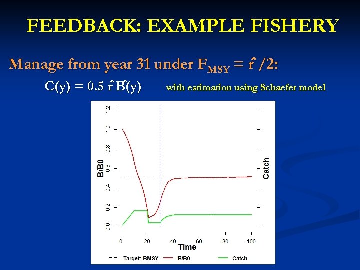 FEEDBACK: EXAMPLE FISHERY Manage from year 31 under FMSY = r /2: C(y) =