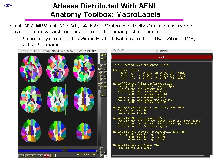 -37 - • Atlases Distributed With AFNI: Anatomy Toolbox: Macro. Labels CA_N 27_MPM, CA_N