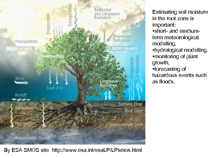 Estimating soil moisture in the root zone is important: • short- and mediumterm meteorological