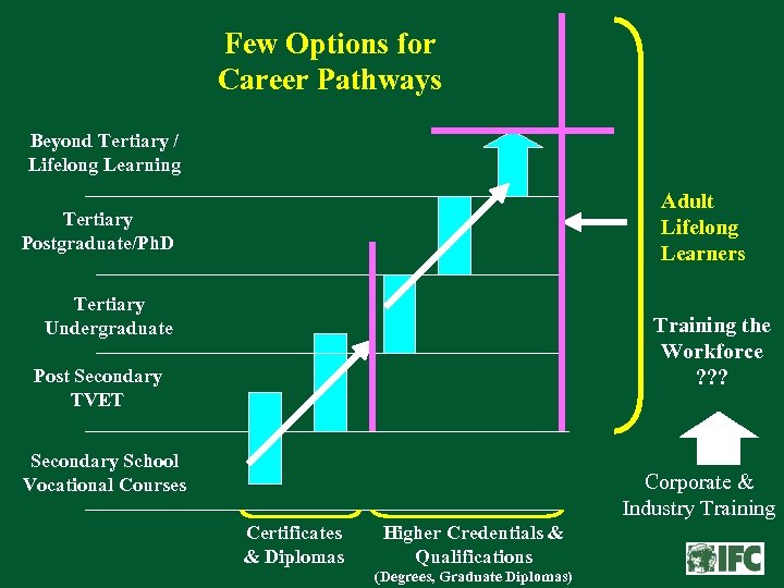 Few Options for Career Pathways Beyond Tertiary / Lifelong Learning Adult Lifelong Learners Tertiary