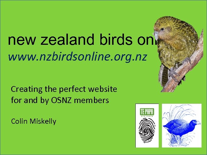 new zealand birds online www. nzbirdsonline. org. nz Creating the perfect website for and