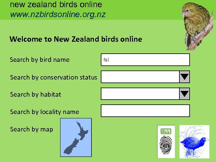 new zealand birds online www. nzbirdsonline. org. nz Welcome to New Zealand birds online