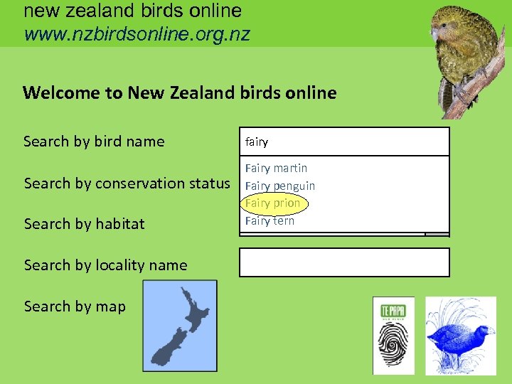 new zealand birds online www. nzbirdsonline. org. nz Welcome to New Zealand birds online