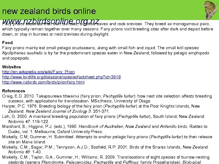 new zealand birds online www. nzbirdsonline. org. nz Fairy prions excavate their own burrows,