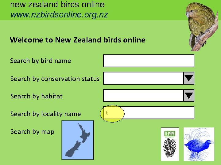 new zealand birds online www. nzbirdsonline. org. nz Welcome to New Zealand birds online