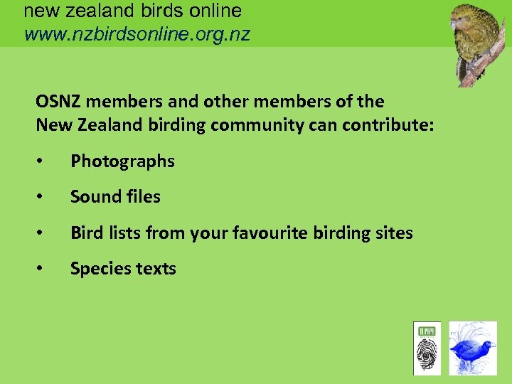 new zealand birds online www. nzbirdsonline. org. nz OSNZ members and other members of
