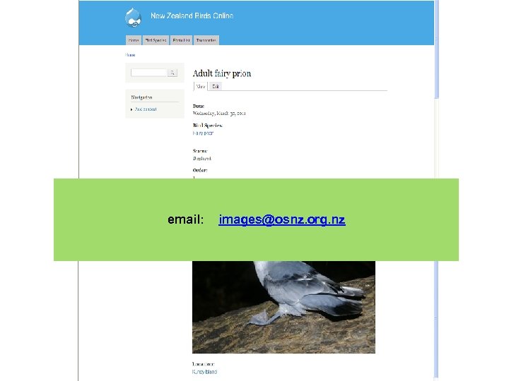 email: images@osnz. org. nz 