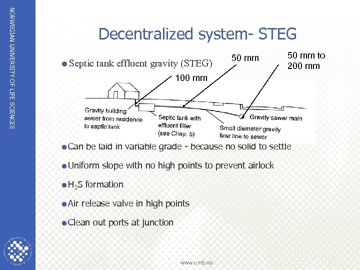NORWEGIAN UNIVERSITY OF LIFE SCIENCES Decentralized system- STEG =Septic tank effluent gravity (STEG) 50