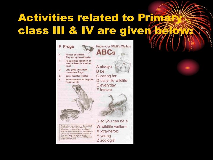 Activities related to Primary class III & IV are given below: 