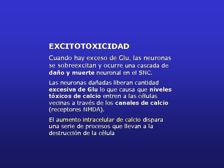 EXCITOTOXICIDAD Cuando hay exceso de Glu, las neuronas se sobreexcitan y ocurre una cascada