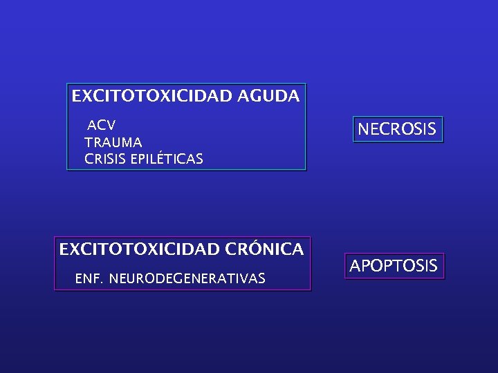 EXCITOTOXICIDAD AGUDA ACV TRAUMA CRISIS EPILÉTICAS EXCITOTOXICIDAD CRÓNICA ENF. NEURODEGENERATIVAS NECROSIS APOPTOSIS 